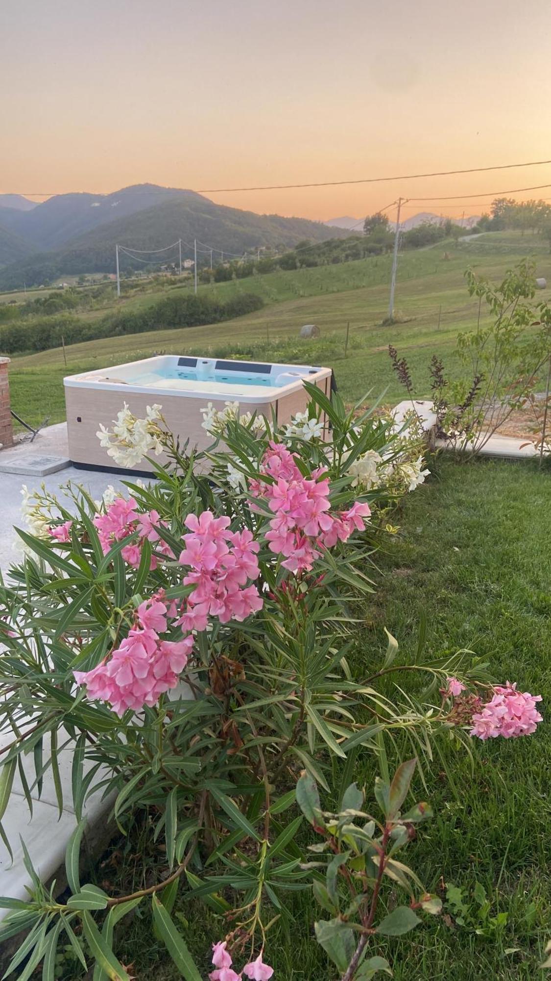 Agriturismo Cergallina Vernasca Экстерьер фото